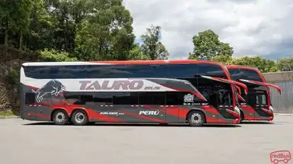Tauro Bus Perú Bus-Side Image
