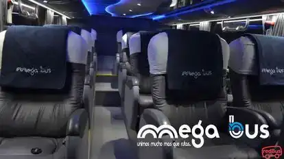 Turismo Mega Bus Bus-Seats Image