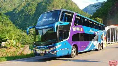 La Merced Bus-Front Image
