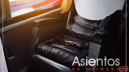 Sajybus Bus-Seats Image