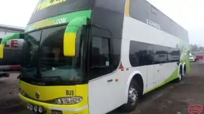 Transportes Milan Bus-Front Image