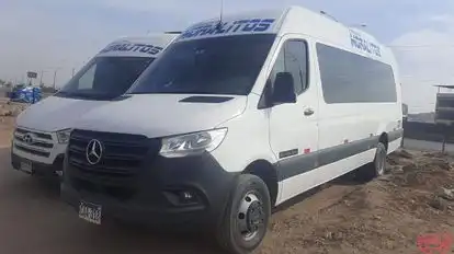 Transportes Moralitos Bus-Front Image