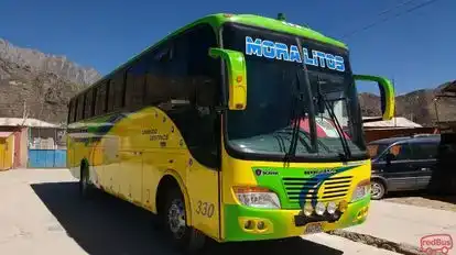 Transportes Moralitos Bus-Seats layout Image