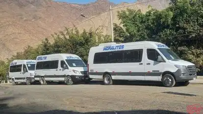 Transportes Moralitos Bus-Front Image