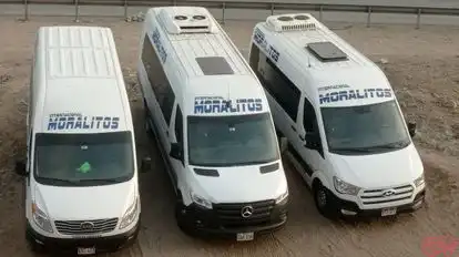 Transportes Moralitos Bus-Front Image