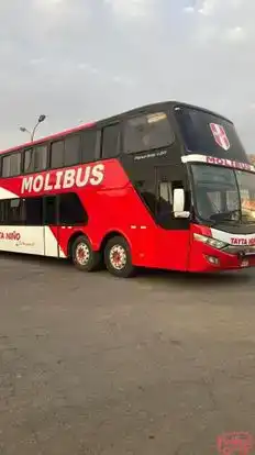 Molibus Bus-Side Image