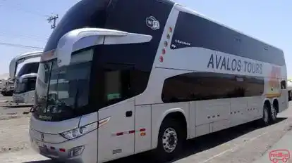 Avalos Tours Bus-Side Image