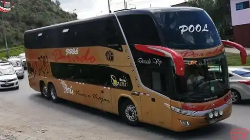 Pool Dorado Bus-Front Image
