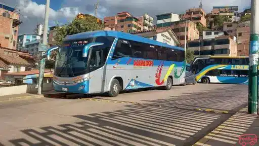 Transsalvador Bus-Front Image