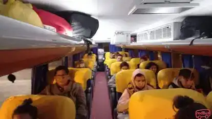 Transsalvador Bus-Seats Image