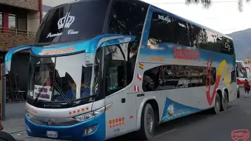 Transsalvador Bus-Front Image