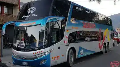 Transsalvador Bus-Front Image