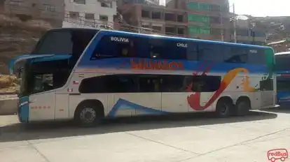 Transsalvador Bus-Side Image