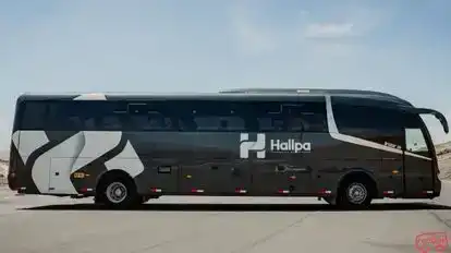 Hallpa Bus-Side Image