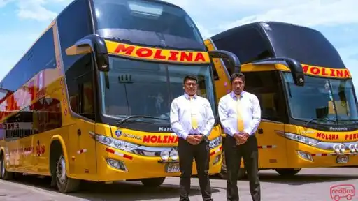 Transportes Molina Peru Bus-Front Image
