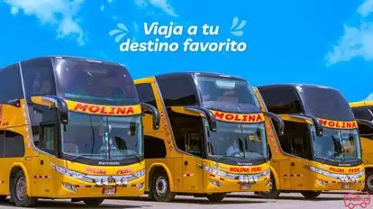 Transportes Molina Peru Bus-Front Image