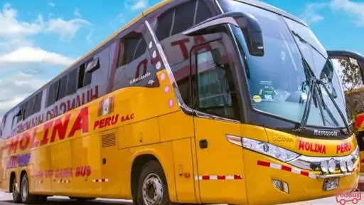 Transportes Molina Peru Bus-Front Image