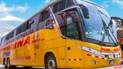 Transportes Molina Peru Bus-Front Image