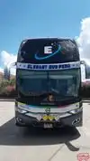 Transporte Elegant Bus Bus-Front Image