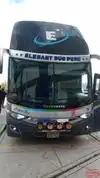Transporte Elegant Bus Bus-Front Image
