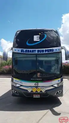 Transporte Elegant Bus Bus-Front Image