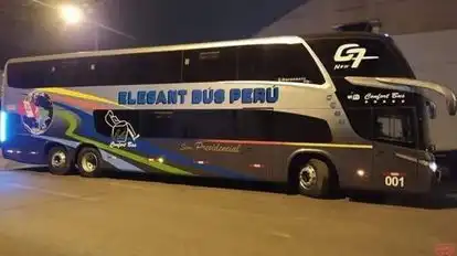 Transporte Elegant Bus Bus-Side Image
