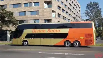 Divino Señor Tours Bus-Side Image