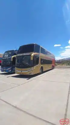 Divino Señor Tours Bus-Side Image