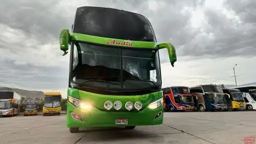 Internacional Andia Bus-Front Image