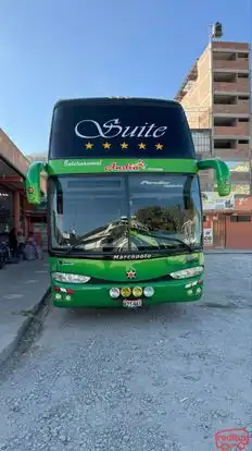 Internacional Andia Bus-Front Image