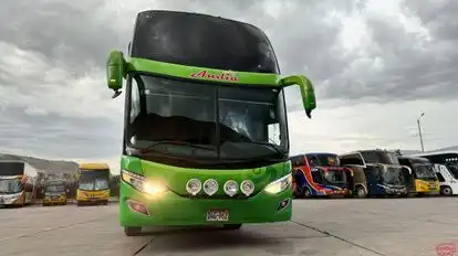 Internacional Andia Bus-Front Image