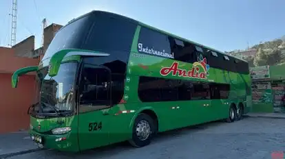 Internacional Andia Bus-Side Image