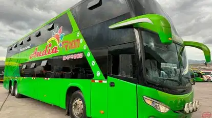 Internacional Andia Bus-Side Image