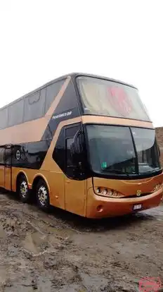 Primera Plus Bus-Front Image