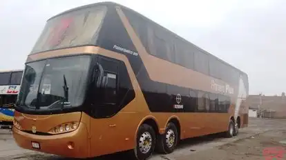 Primera Plus Bus-Front Image