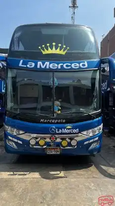 La Merced Bus-Front Image