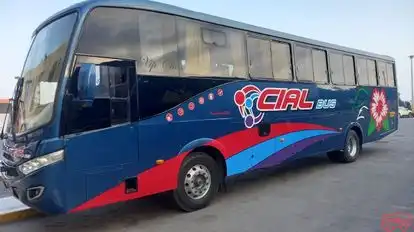 Cial_Bus Bus-Side Image
