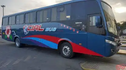 Cial_Bus Bus-Side Image