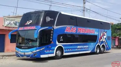 Alas Peruanas Bus Bus-Side Image