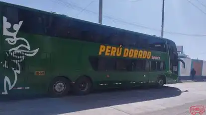 Peru Dorado Tours Bus-Front Image