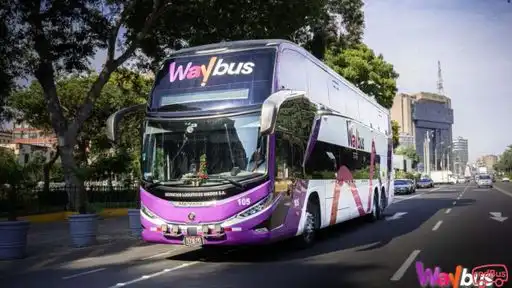 Waybus Bus-Front Image