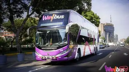 Waybus Bus-Front Image