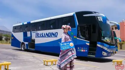 Trasandino Bus-Side Image