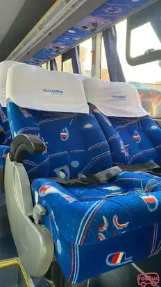 Trasandino Bus-Seats Image