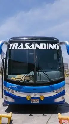 Trasandino Bus-Front Image