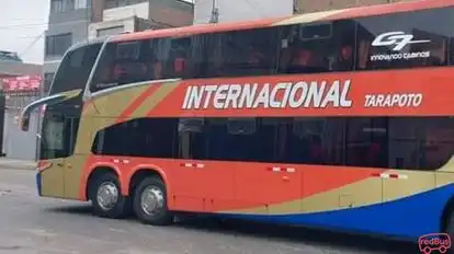 Internacional Tarapoto Bus-Side Image