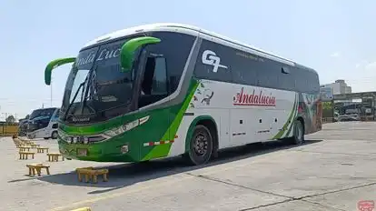 Transportes y Turismo Andalucia Bus-Front Image