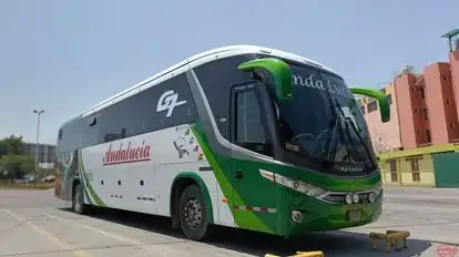 Transportes y Turismo Andalucia Bus-Side Image