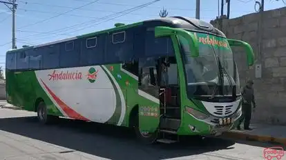 Transportes y Turismo Andalucia Bus-Side Image