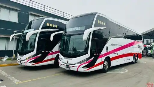 Lineas Peruanas Bus-Front Image